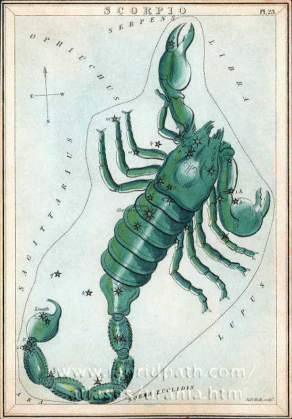 Сузір'я Скорпіона (Scorpio) із «Дзеркала Уранії», набору тематичних карток опублікованого у Лондоні, бл. 1825
